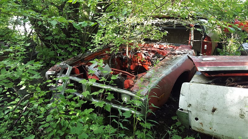 Ron&apos;s Auto Salvage Auto parts store at 24613 Butler Center Rd